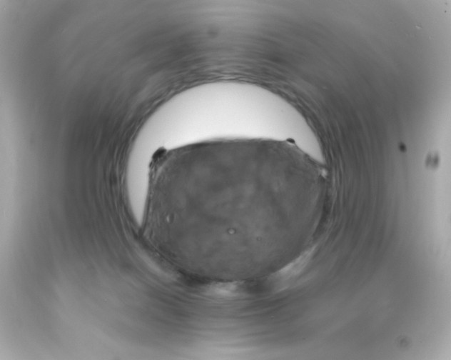 X0000091500086200709061931