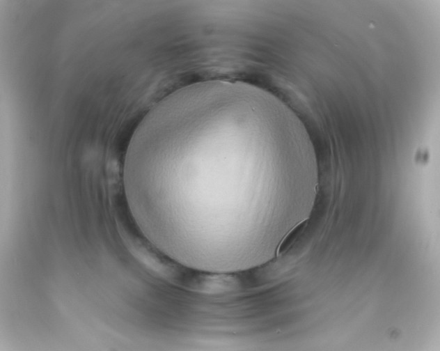 X0000091500087200709061931