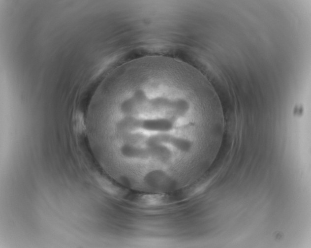 X0000091500089200709061931