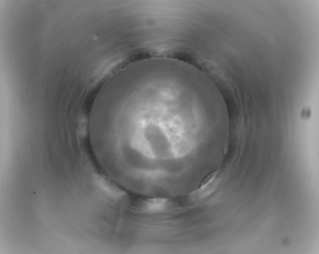 X0000091500090200709061931