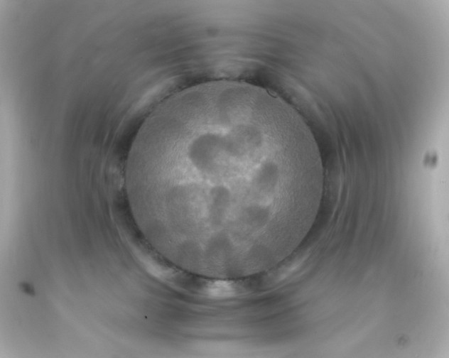 X0000091500091200709061931