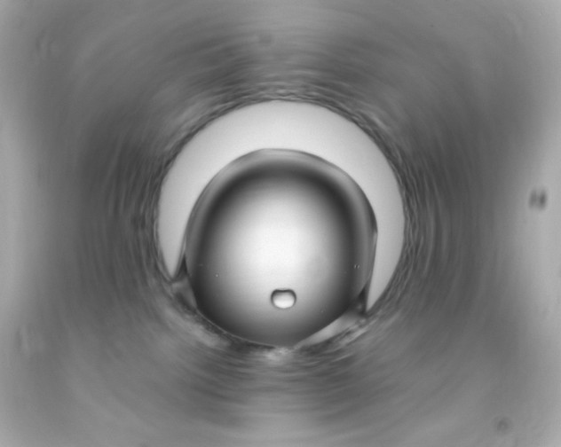 X0000091500092200709061931