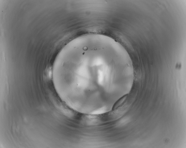 X0000091500095200709061931