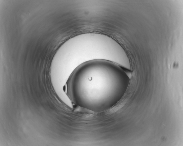 X0000091500096200709061931