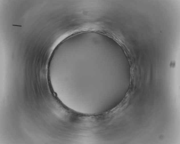 X0000091500100200709061930