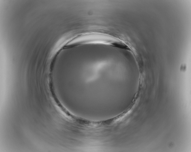 X0000091500101200709061930