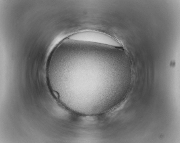 X0000091500102200709061930