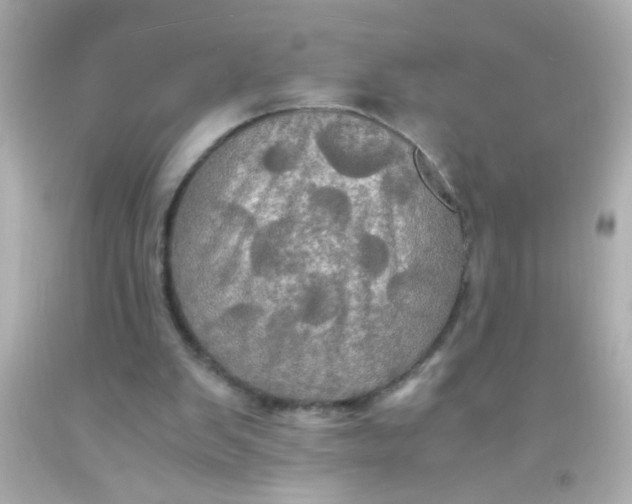 X0000091500103200709061930