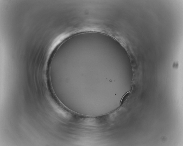 X0000091500104200709061930