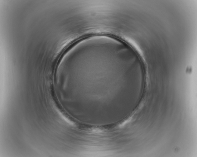 X0000091500105200709061930