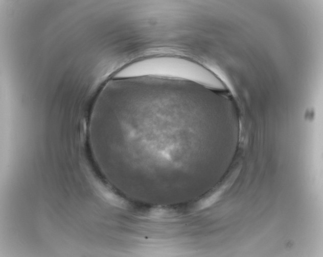 X0000091500109200709061930