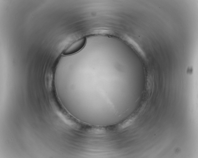 X0000091500110200709061930