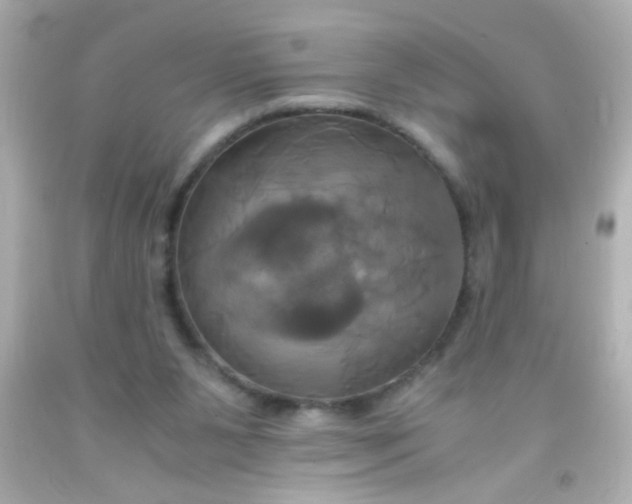 X0000091500111200709061930