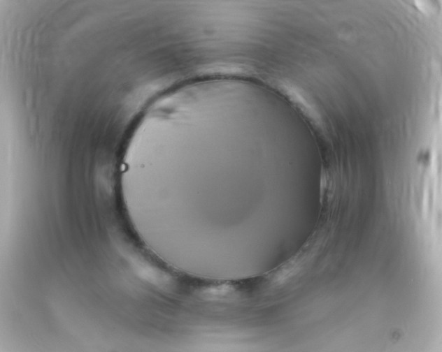 X0000091500112200709061930