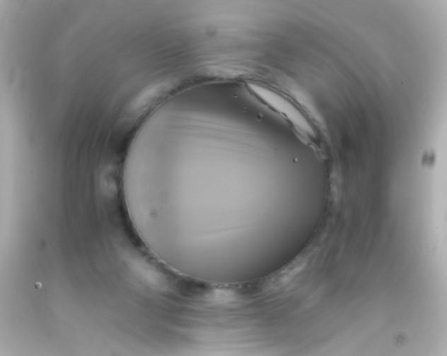 X0000091500114200709061930