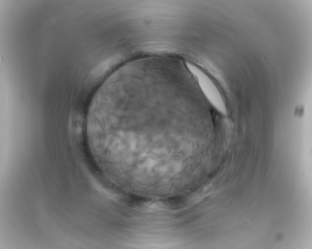 X0000091500115200709061930