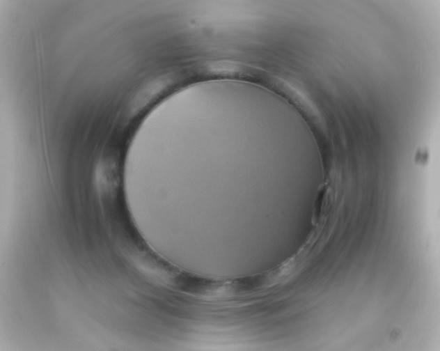 X0000091500116200709061930