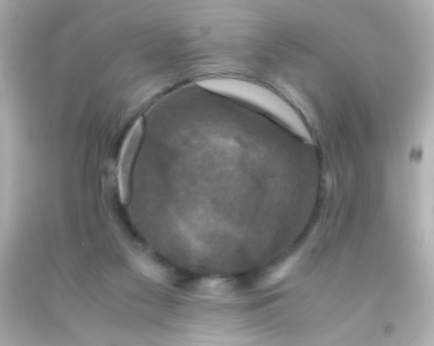 X0000091500117200709061930