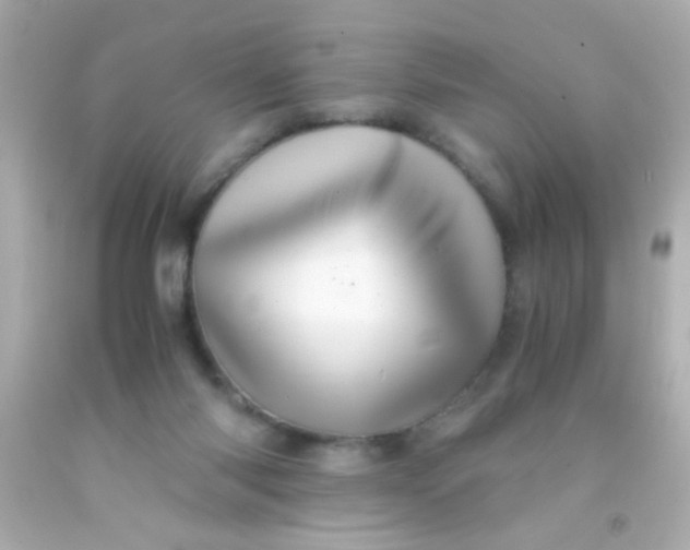 X0000091500118200709061930