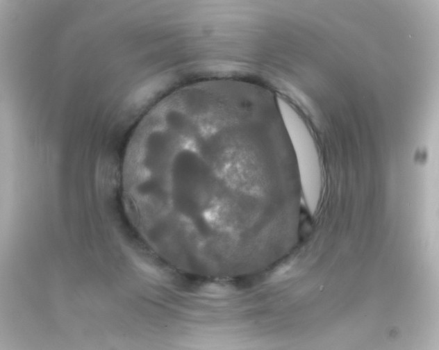 X0000091500119200709061930