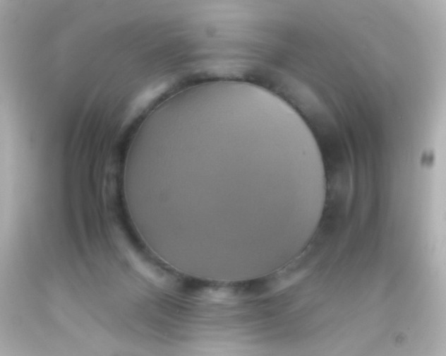 X0000091500120200709061930