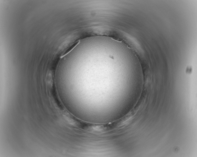 X0000091500121200709061930