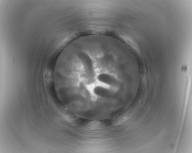 X0000091500123200709061930