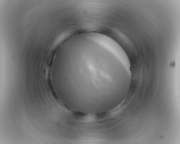 X0000091500124200709061930