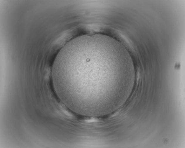 X0000091500125200709061930