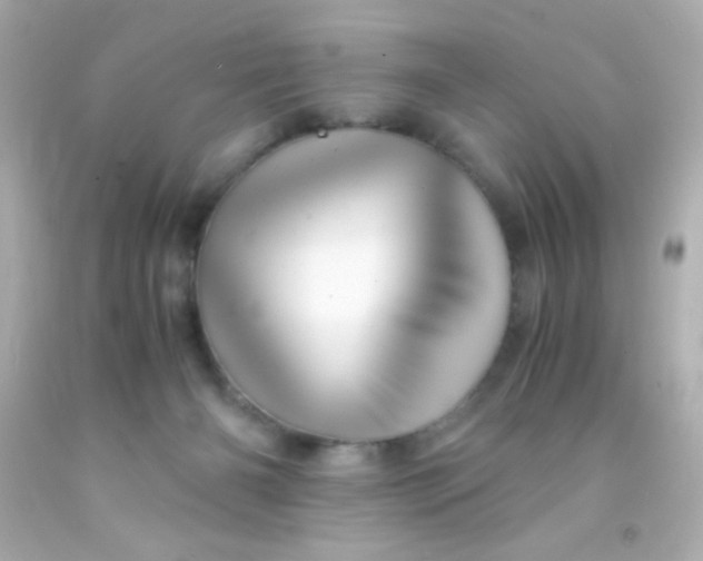 X0000091500126200709061930