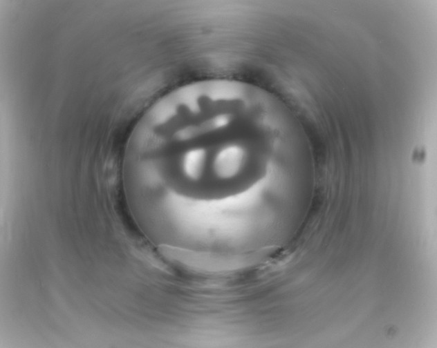 X0000091500131200709061930