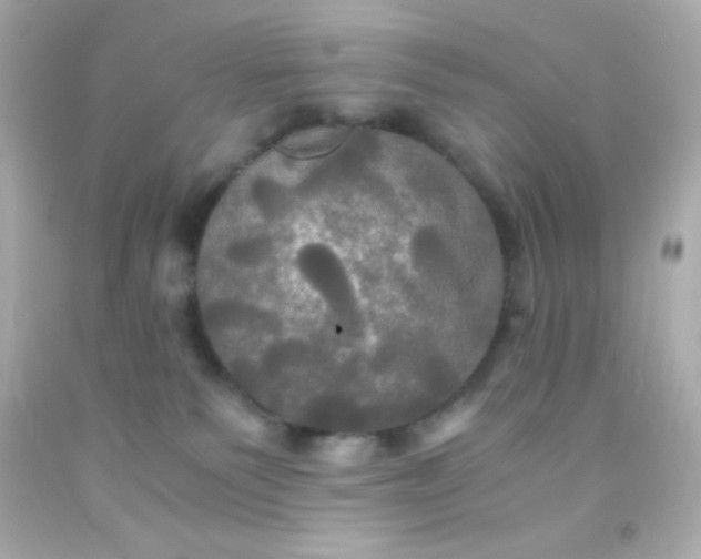 X0000091500135200709061930