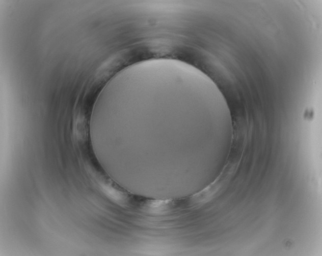 X0000091500136200709061930