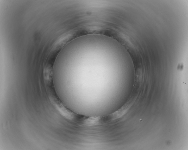 X0000091500138200709061930