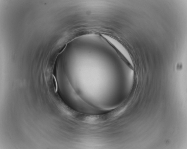 X0000091500139200709061930