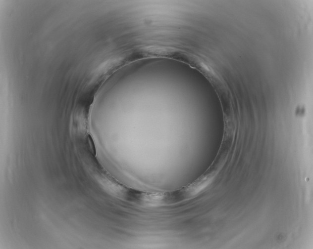 X0000091500143200709061930