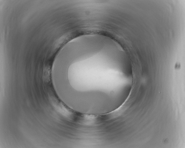 X0000091500144200709061930