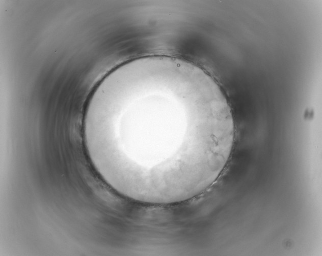 X0000091500146200709061929