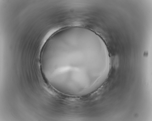 X0000091500147200709061929