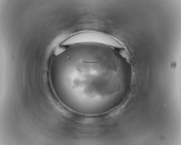 X0000091500149200709061929