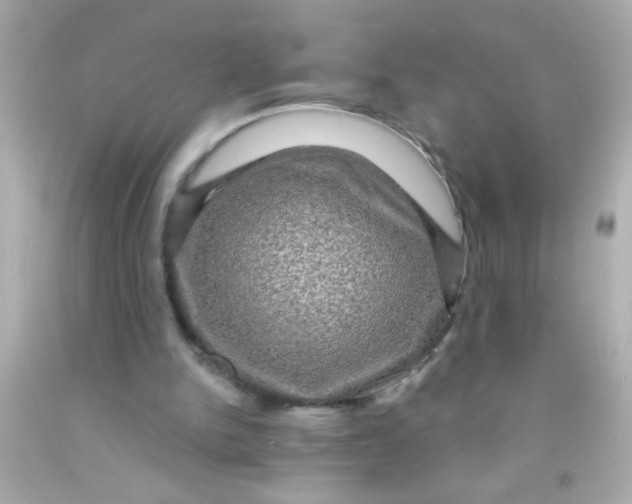 X0000091500150200709061929