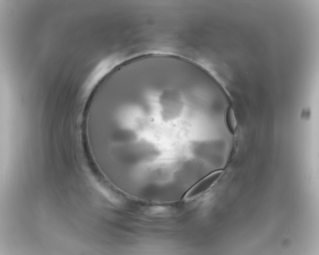 X0000091500151200709061929