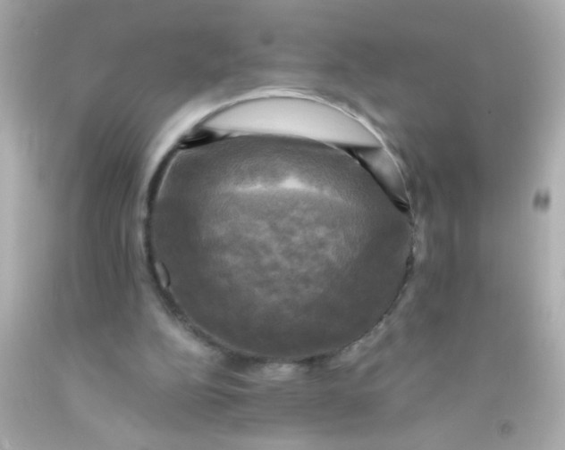 X0000091500152200709061929