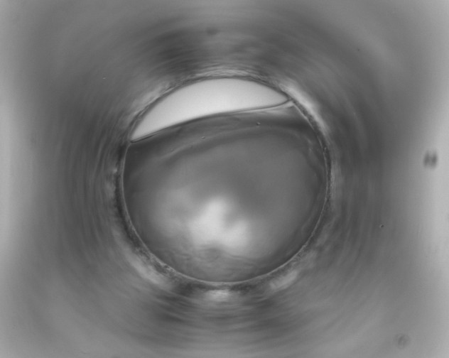 X0000091500153200709061929