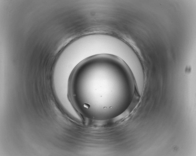 X0000091500154200709061929