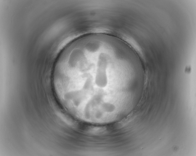 X0000091500155200709061929