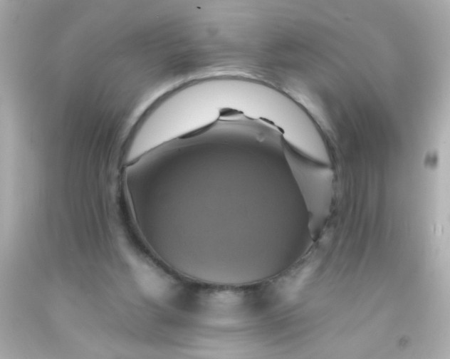 X0000091500156200709061929