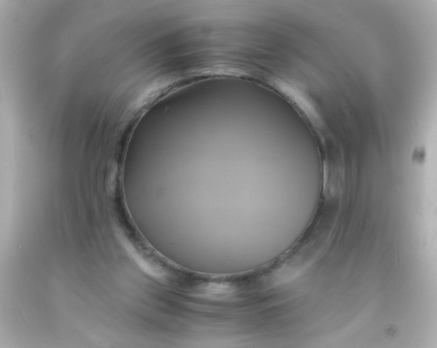 X0000091500157200709061929