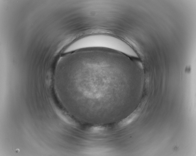 X0000091500158200709061929