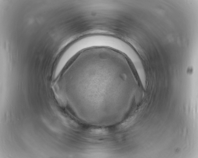 X0000091500160200709061929